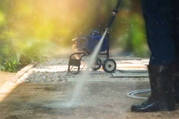 Best Roof Washing  in Beaver Dam, WI